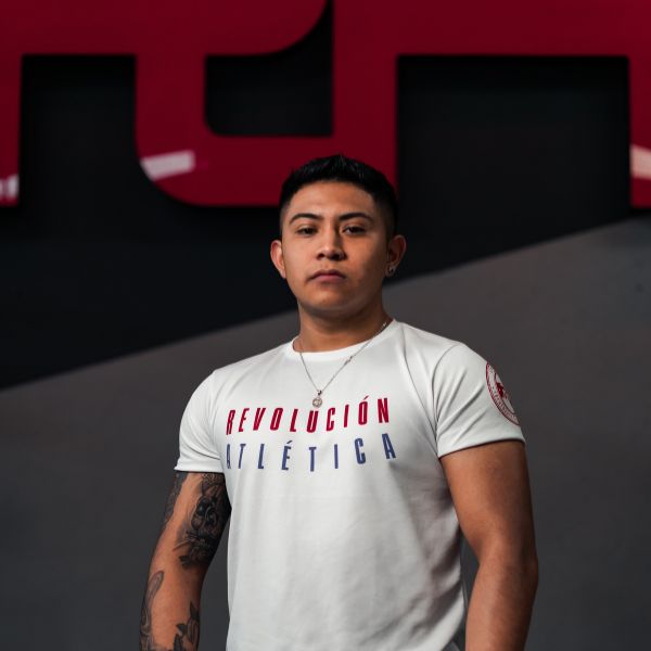 Descripción de la imagen