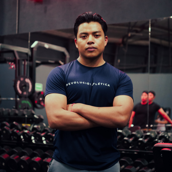 Descripción de la imagen