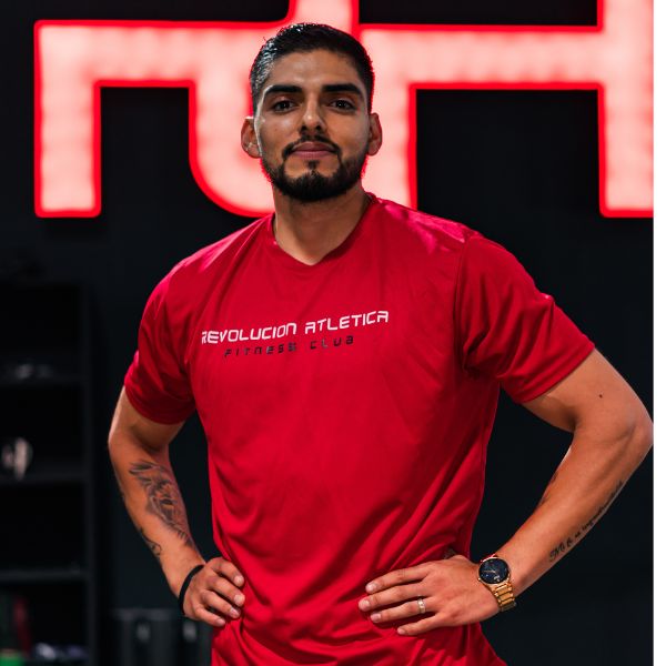 Descripción de la imagen